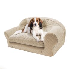 Dog Beds