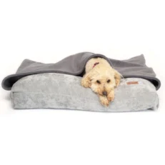 Dog Blankets & Cushions