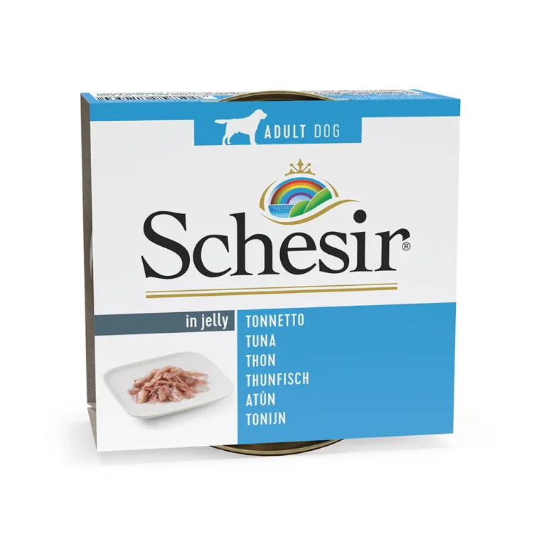 EN-FR-ES-PT-NL_01064253_MAIN_1296x
