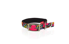 Pet Interest - Go Get Collar Neoprene Cuori