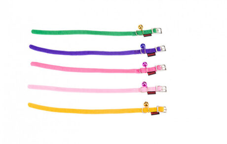 Pet Interest – Stretch Cat Collar